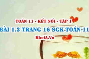 Bài 1.3 trang 16 SGK Toán 11 tập 1 Kết nối tri thức